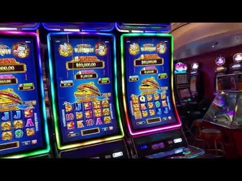 Oracle 360 Roulette | PRIMA, HERMANA, FAMILIA | Casino/Salsa Cubana | Nivel Principiante.