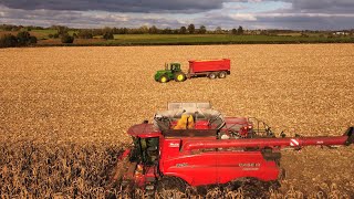 Une CASE IH 8250🔴 pour la moisson du Maïs 2021🌽 (de gros rendements au rendez-vous ).
