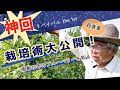 【神回!ブルーベリー】栽培技術をシェアします!樹齢40年のブルーベリーは至高の果実だった!