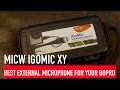 Review: MicW iGoMic Stereo XY External Microphone for GoPro | RehaAlev