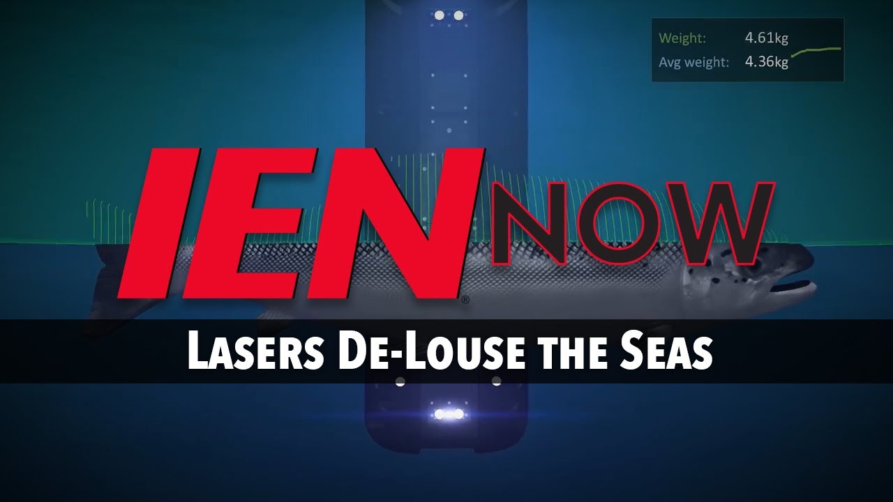 IEN NOW: Lasers De-Louse the Seas