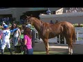 Sky Sailing wins race 2 at Del Mar 8/2/24.