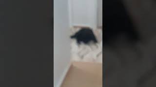 Zortt¿¿¿¿¿¿¿¿¿¿¿¿¿¿¿¿¿¿¿¿¿¿
