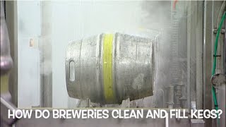 How do the breweries clean and fill beer kegs?