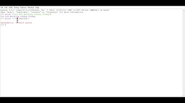 How to use the Print Command to code Python!