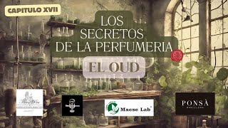 TODO SOBRE EL OUD  Los Secretos de la Perfumeria