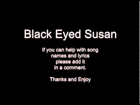 Advert Your Eyes - Black Eyed Susan