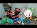 Youtube Thumbnail title