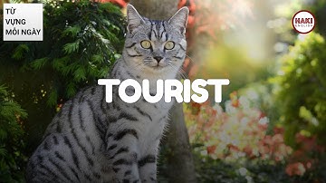 TOURIST | Phát âm - Giải nghĩa - Ví dụ | Từ vựng tiếng Anh