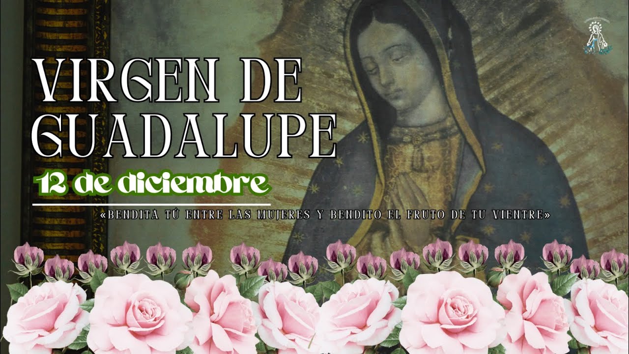 EN VIVO: 06:00 P. M MISA SOLEMNIDAD DE NUESTRA SEORA DE GUADALUPE 12 ...