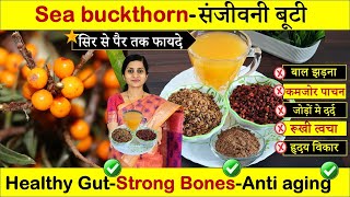 Healthy Gut, Glowing Skin और Anti-Aging क दव Amazing Health Benefits Of Sea Buckthorn