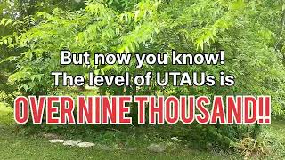How many UTAUs are there?
