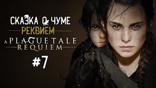 A PLAGUE TALE: REQUIEM ПРОХОЖДЕНИЕ #7 / СКАЗКА О ЧУМЕ РЕКВИЕМ / А ПЛАГ ТЭЙЛ РЕКВИЕМ / #PS5