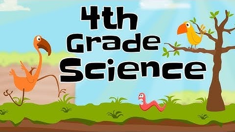 4th Grade Science Compilation