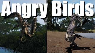 A Tale of Two Birds