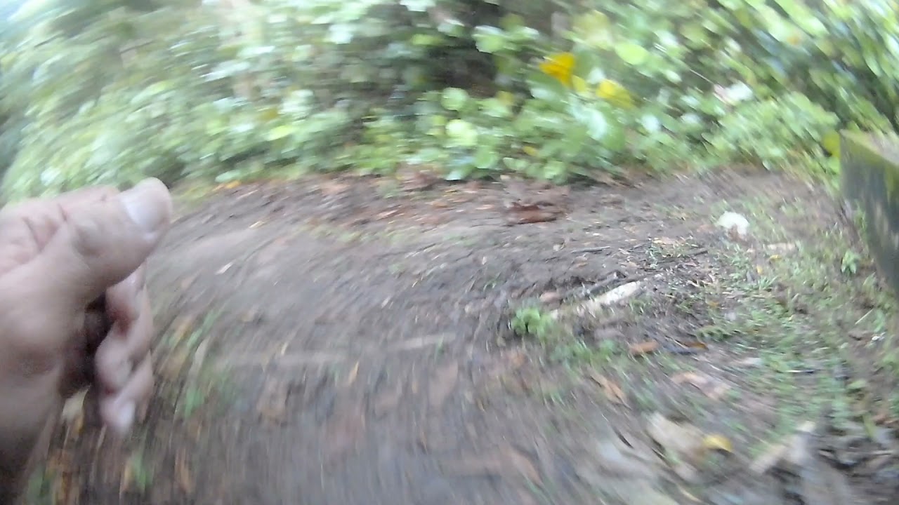 Trail Run POV - Extension Track 