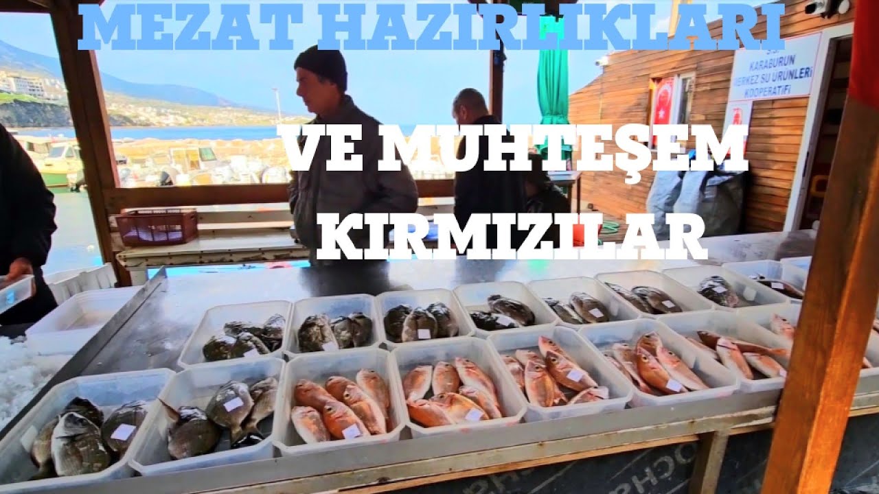 Рыбный аукцион Карабурун 03.01.2026 Широкоэкранный