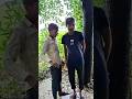 #देवा तू किस भाषा में बात कर रहा है#रोस्ट #comedy#video#funny #whatsappstatus#trending#tiktok #fyp