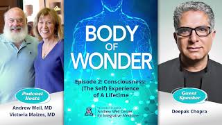 Deepak Chopra - Consciousness: (The Self) Experience of A Lifetime | Body of Wonder podcast
