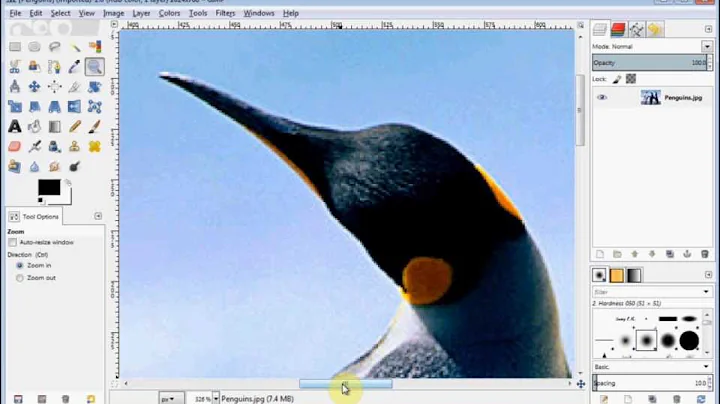 Gimp Beginner's Guide 6 - the zoom tool