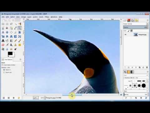 Gimp Beginner's Guide 6 - the zoom tool