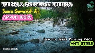 Calming Bird Sound Therapy | Natural Water Stream for Gacor Birds