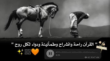 تلاوة هادئة تريح الأعصاب😴🎧 | اجمل حالات واتس اب قرآن كريم🥺💔ll تلاوه تريح القلب🤍🌥️