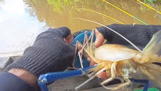 Download Lagu Sampai Gak Muat❗Mancing Udang Galah Saat Kondisi Air Mulai Bagus MP3