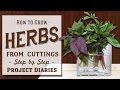 ★ How to: Grow Herbs from Cuttings (A Complete Step by Step Guide)