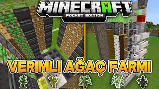 1.17 AĞAÇ FARMI NASIL YAPILIR ? | Minecraft Pocket Edition/Bedrock Edition