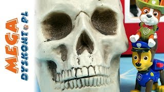 Halloween Nawiedzona Stajnia Psi Patrol Bajki Po Polsku