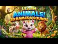 Learn Animal Names and Sounds with Poki | 15 Animal Friends for Kids