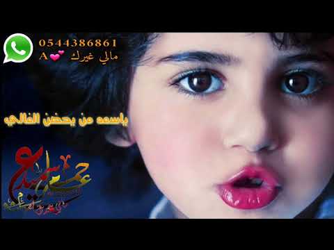 شيلة ليته حلالي وانا المالك والناس كل بري منه