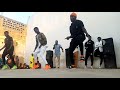Live Performance Yaran Tj Kano Tare Da Ishaq Kano Kamal U Baba Kai Ya Dau Chaji