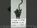 Lo que la OTRA MADRE oculta sobre el GATO!