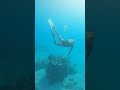 she dives down to see what this bubbler thing is
