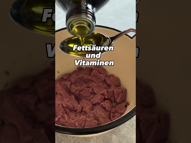 Hund kratzt sich ständig und leckt Pfoten? Hausmittel und schnelle Hilfe! 3 sddefault