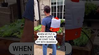 THIS TOOL WILL CHANGE THE WAY YOU GARDEN! #sprayers #petratools THIS TOOL WILL CHANGE THE WAY YOU GARDEN! #sprayers #petratools