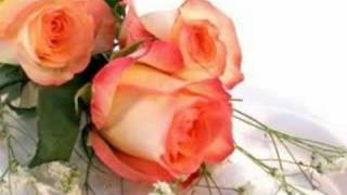 A Train Through Time Book Trailer