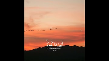 تلاوة هادئة تريح الأعصاب 😴🎧 | القاريء شريف مصطفى - سورة الحديد 🤍🌥️."