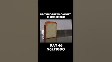 Proving bread can get 1k subscribers 🙏#memes #1ksubscribers #wgitachi #funny #bread #funniestvideo