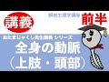 上肢・頭部の動脈【解剖生理学講座】イラスト/勉強法/看護師国家試験対策