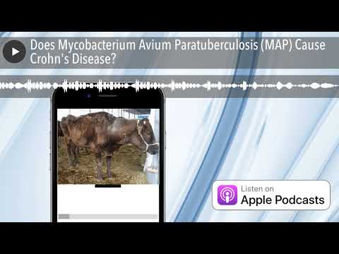 Video: Pengumpulan Data Longitudinal Mycobacterium Avium Subspecies Infeksi Paratuberkulosis Dalam Ternakan Tenusu: Nilai Data Medan Tepat