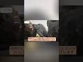 産卵後に灼熱と険しい岩を乗り越えて海へ帰る勇敢な母ガメ #亀産卵 #亀動画 #母ガメ #海ガメの旅 #亀の奇跡