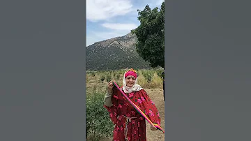 Hameddurt Am Rfis 
