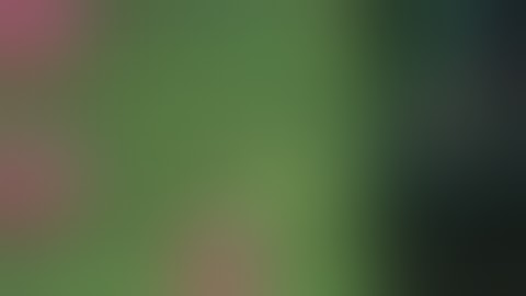 The Ultimate Winning Tricks for The Crypt Game 🎯 🎯 yono game jackpot h 🥰#yono @OPyonogame #jackpot 