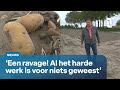 Ook boeren hebben veel last gehad van noodweer   l1 nieuws