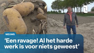 Ook boeren hebben veel last gehad van noodweer ⛈️🧑‍🌾 | L1 Nieuws