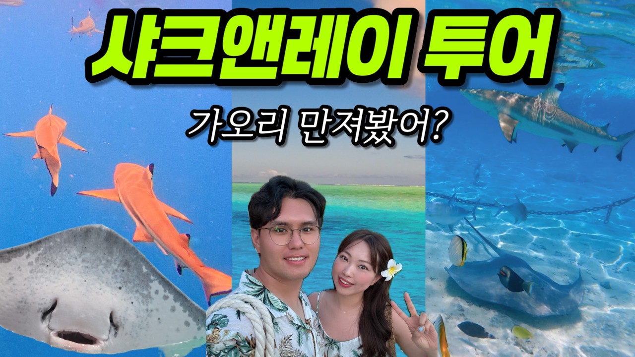 상어와 가오리랑 스노쿨링🦈 | 타히티보라보라 필수 액티비티| [신혼여행vlog_4] 🇵🇫타히티 보라보라