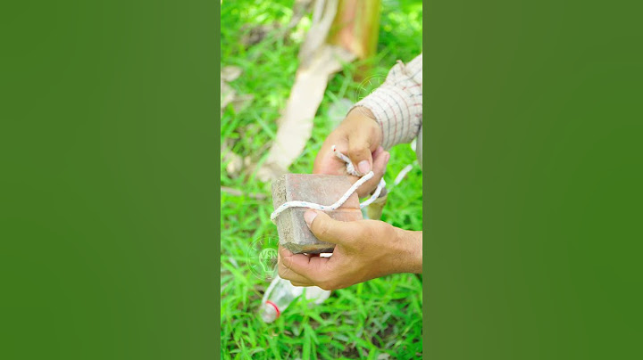 Survival skill: Amazing Lifehack with a bottle #survival #lifehacks #outdoor #diy